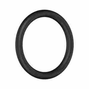 Black circular rubber O-ring on a white background
