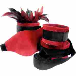 BDSM комплект Sportsheets - Sexy Slave Kit