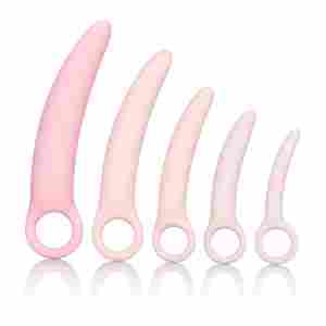 Комплект от 5 дилда Inspire