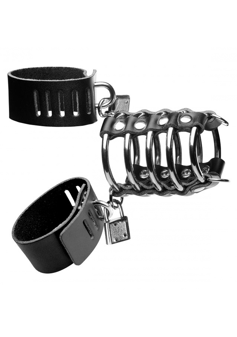 Gates of Hell Chastity Device