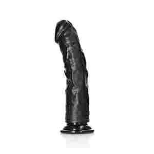 Curved Realistic Dildo with Suction Cup - 10" / 25