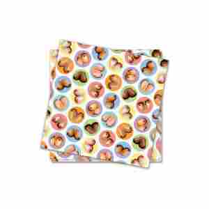 Dirty Boob Napkins