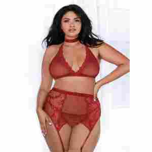 Fishnet and Lace 4 Piece Set - Plus Size