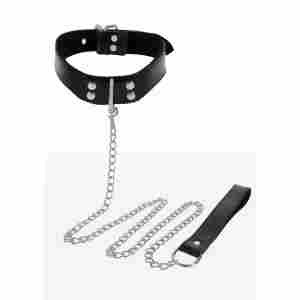 Elegant Collar and Chain Leash