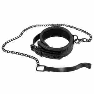 Collar with Leash