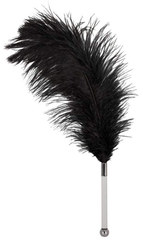 Feather black acrylic - Image 2