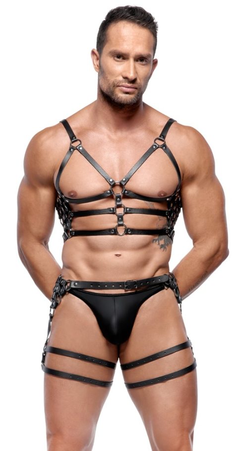 Leather Harness Set M/L - Image 3