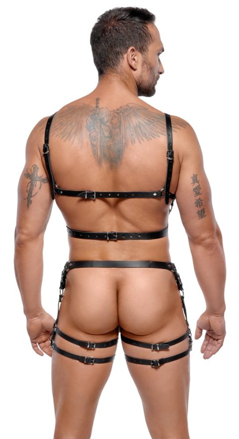 Leather Harness Set M/L - Image 5