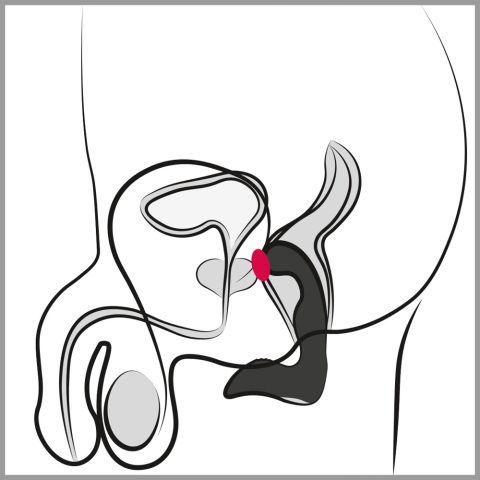 Rebel Prostate Plug recharge - Image 7