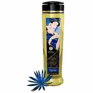 Shunga Oil Seduction 240 ml