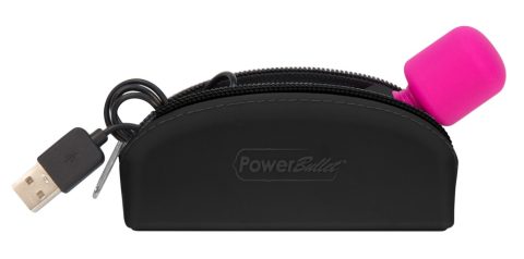 palmpower Pocket - Image 3