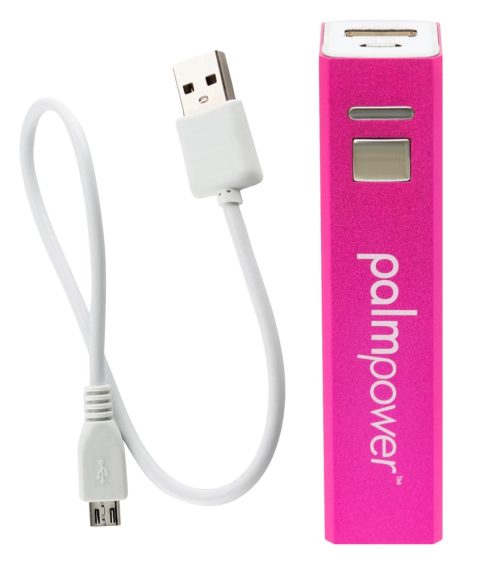 palmpower plug & play - Image 4