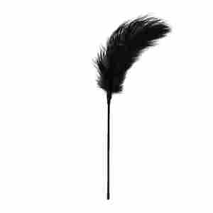 Easytoys Fetish - Black Feather Tickler