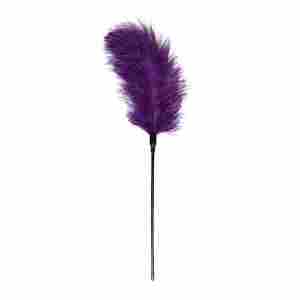 Easytoys Fetish - Purple Feather Tickler