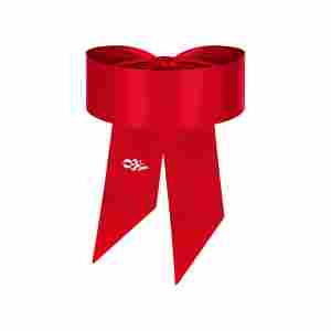 Obsessive - Blindfold - Red