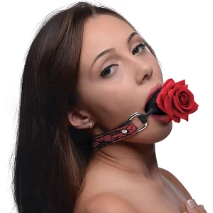 Woman with long dark hair biting a red rose held by a black gag attached to a red lace collar, close-up portrait.