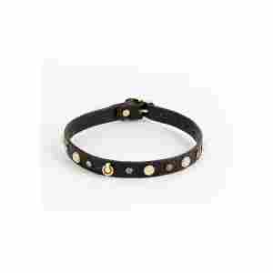 Alina Collar