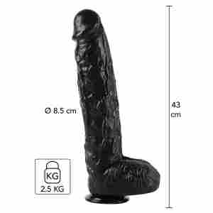 Dong 43 cm