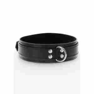 Heavy D-Ring Collar