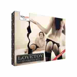 Lovetoy Starter Kit