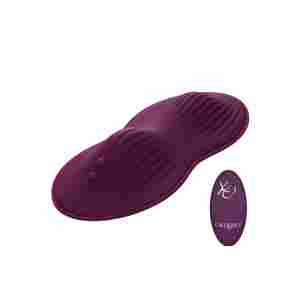 Remote Control Dual Rider