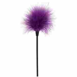 Sexy Feather Tickler
