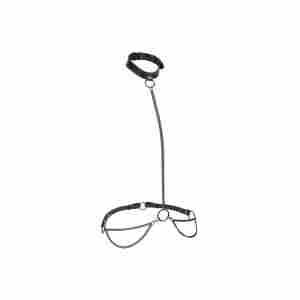 Chain Halter & Collar Plus