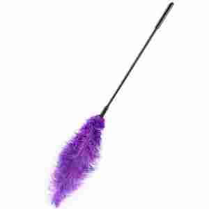 Double Feather Tickler