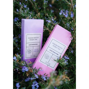 Phero Parfum Attract Him 10 ml