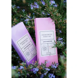 Phero Parfum Attract Him 10 ml