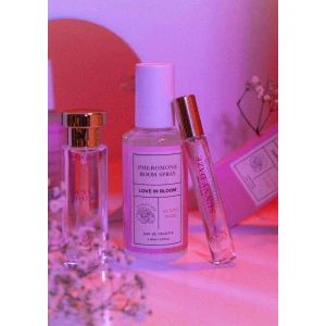 Room Phero Attract Him 150 ml