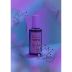 Room Phero Attract Him 150 ml