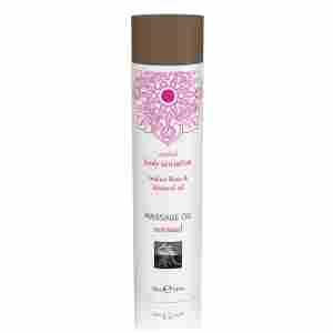 Seductive Massage Oil 100 ml