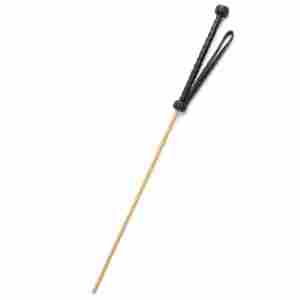 The Obedience Cane